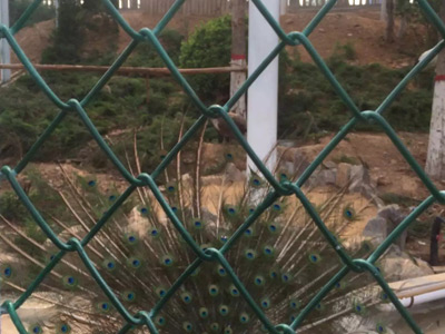 勾花网